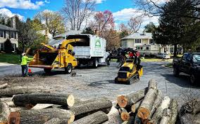 Seasonal Cleanup in Hartford City, IN